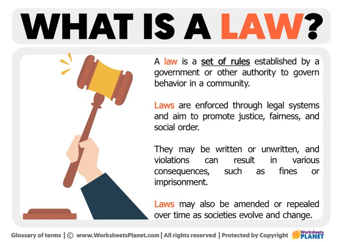 Law