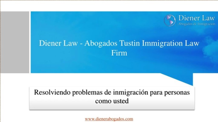 Diener law abogados